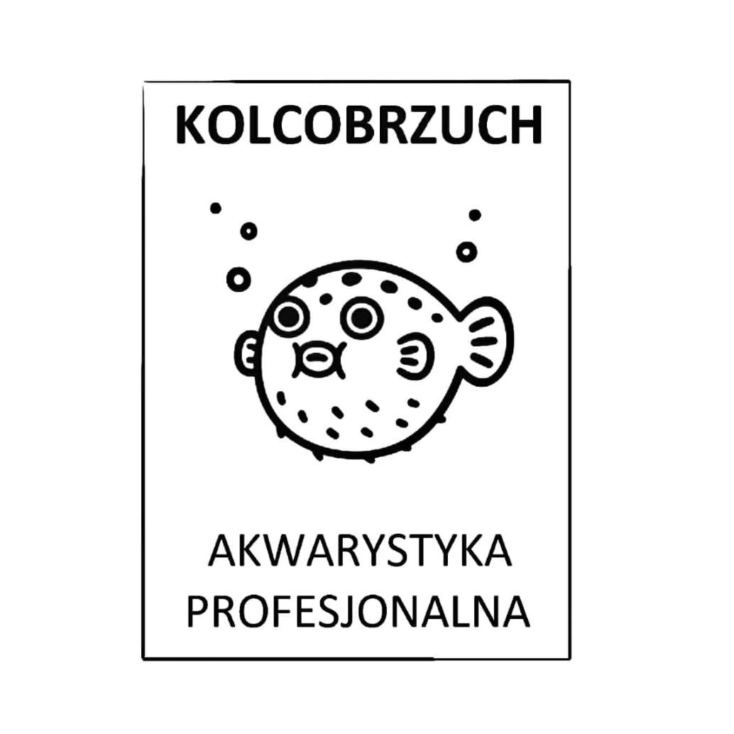 Kolcobrzuch.com